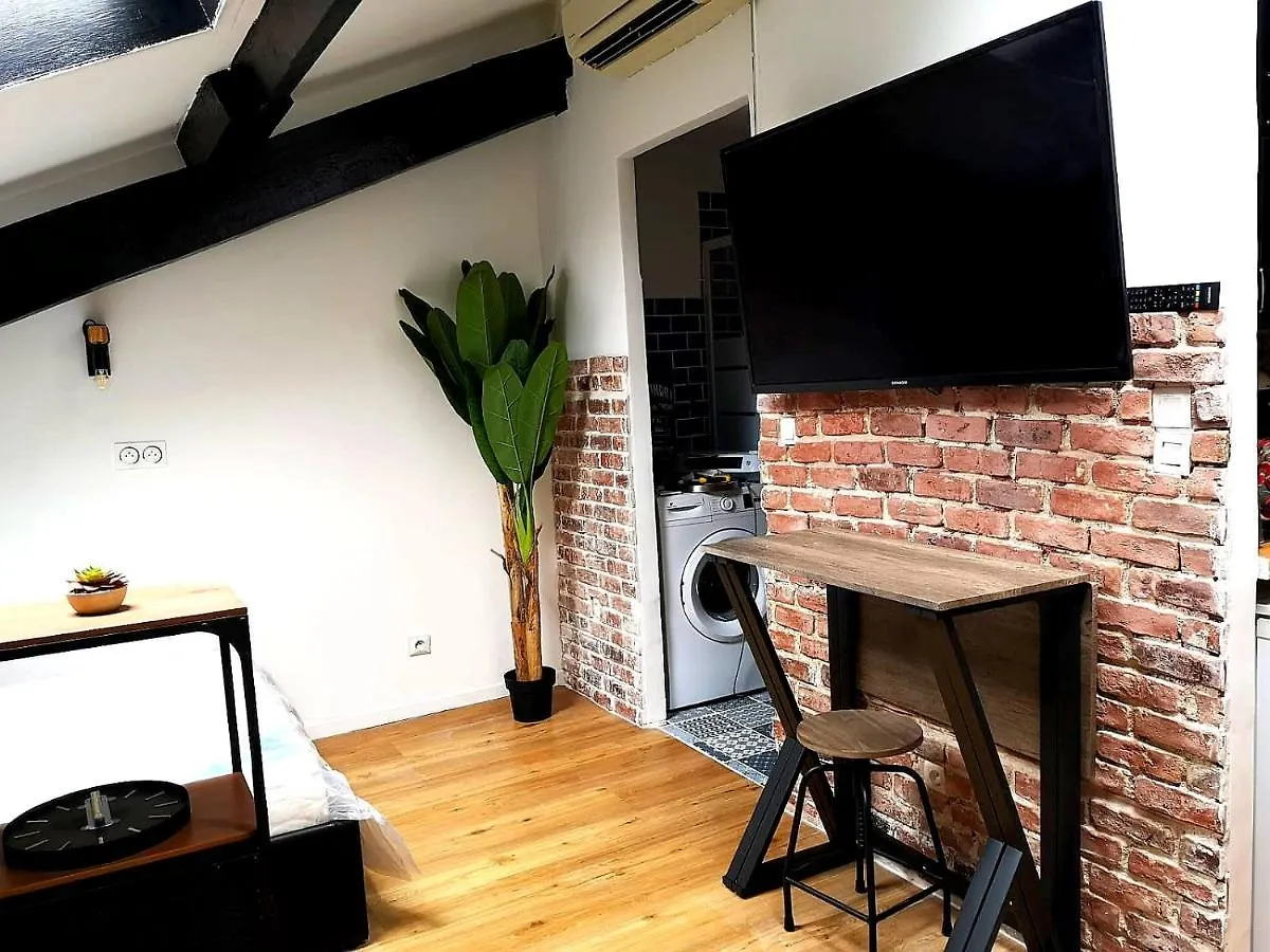 Studio Hyper Centre Appartement Nice